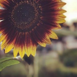 Meet your Posher, Tia